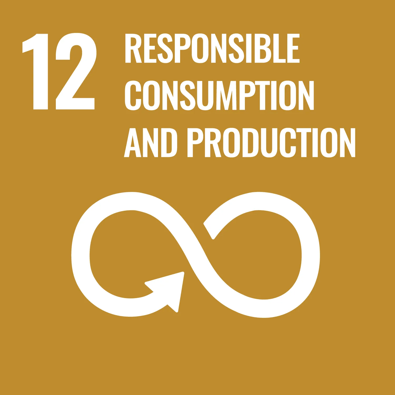 SDG 12 Image responsible production and consumption