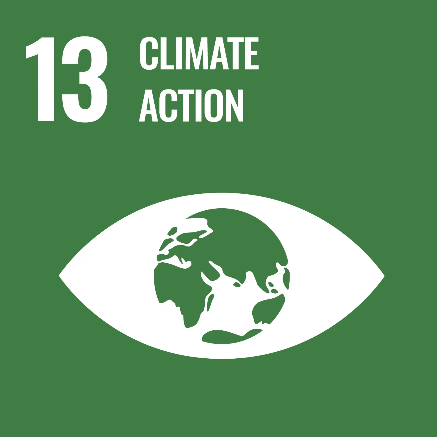 SDG 13 Image climate action