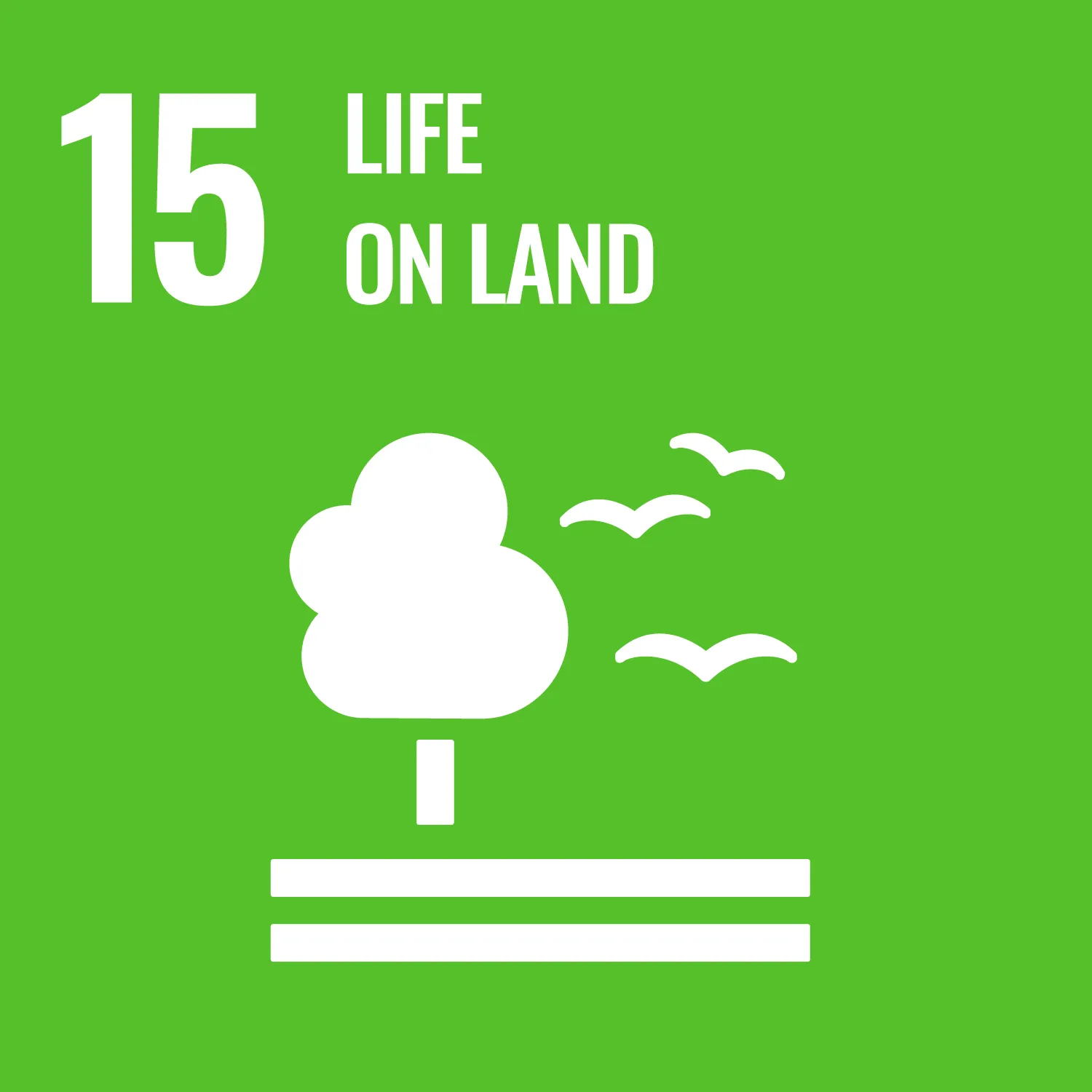 SDG 15 Image life on land