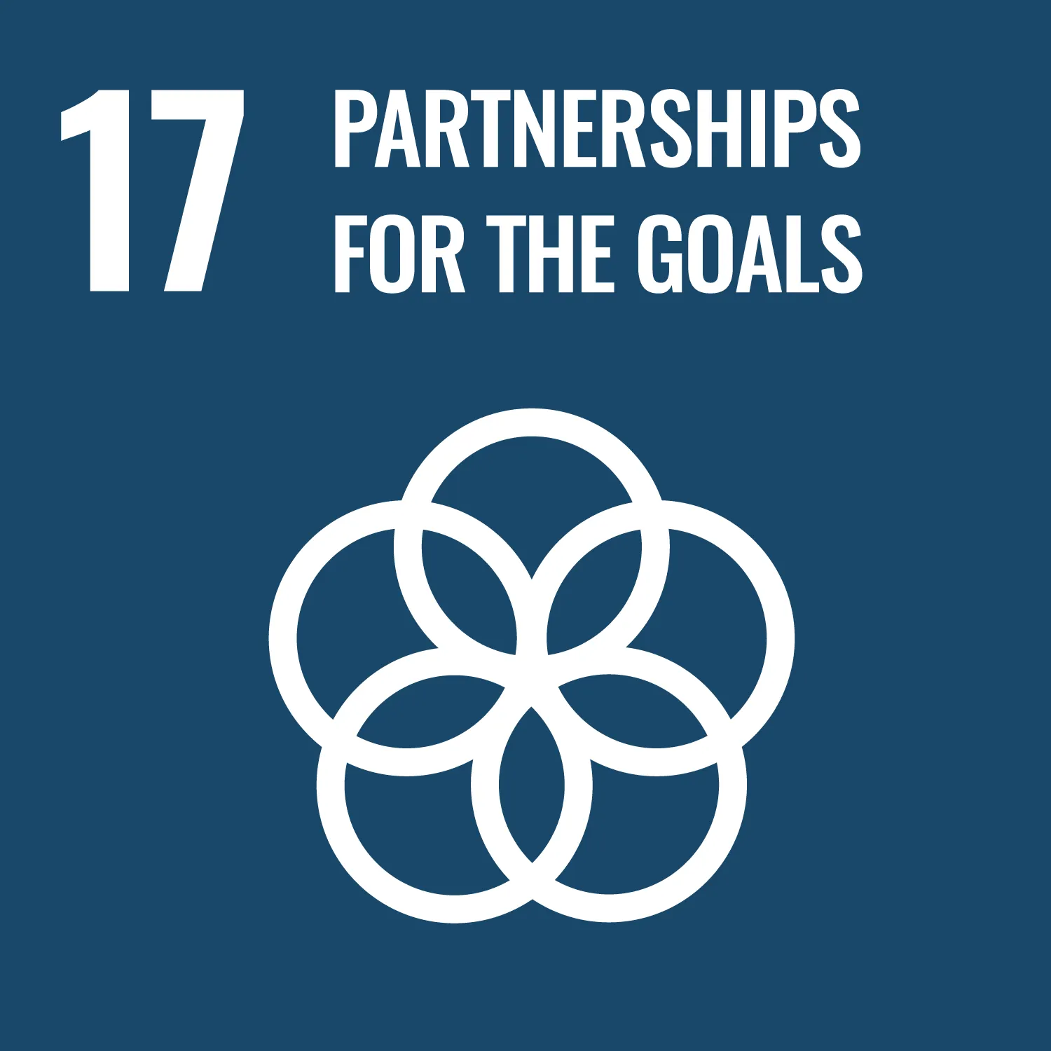 SDG 17 Image partnership for the goals