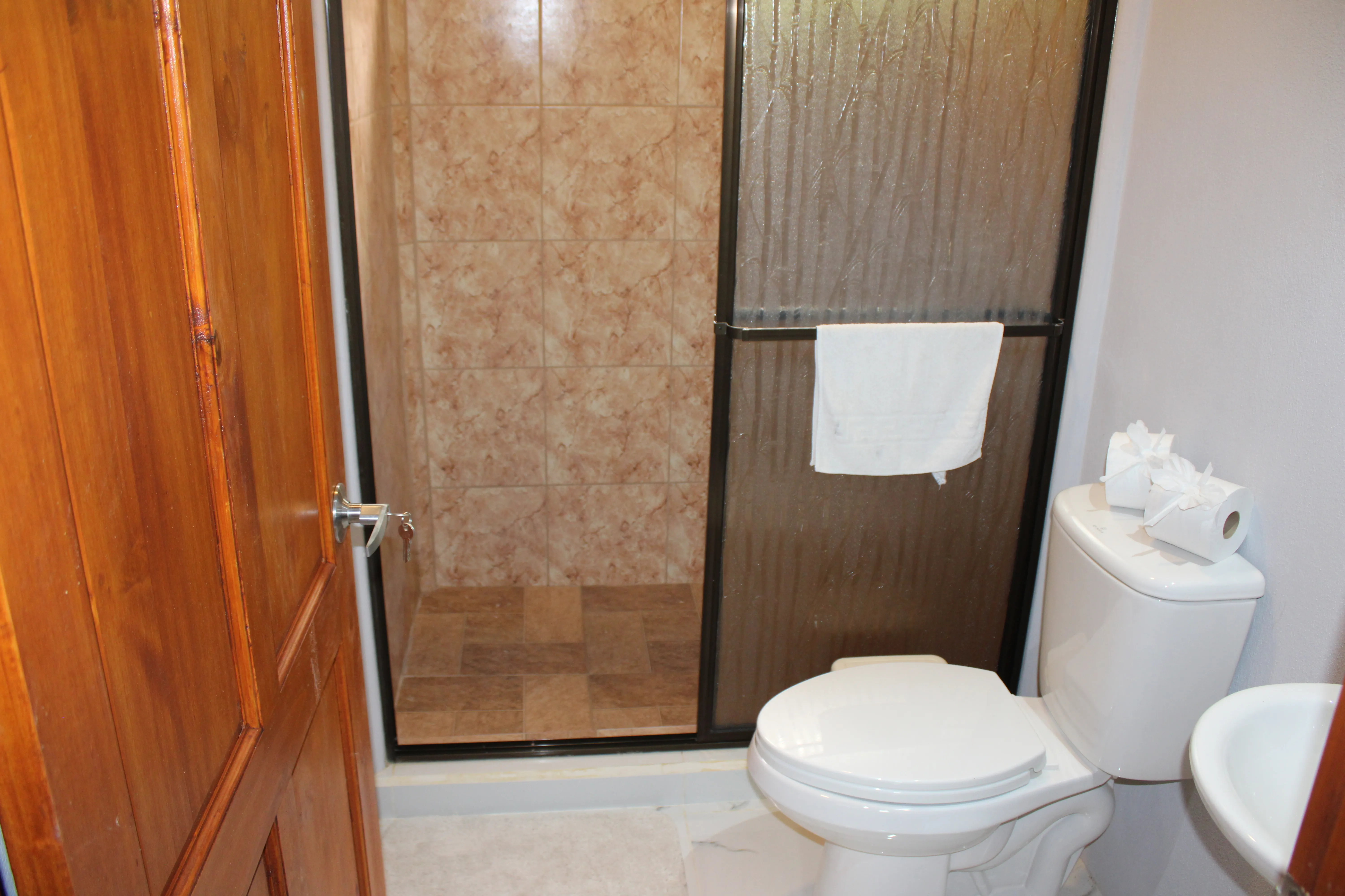 bathroom with a toilet and a shower